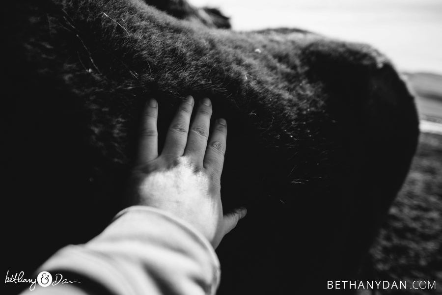 Bethany touching an Icelandic Horse